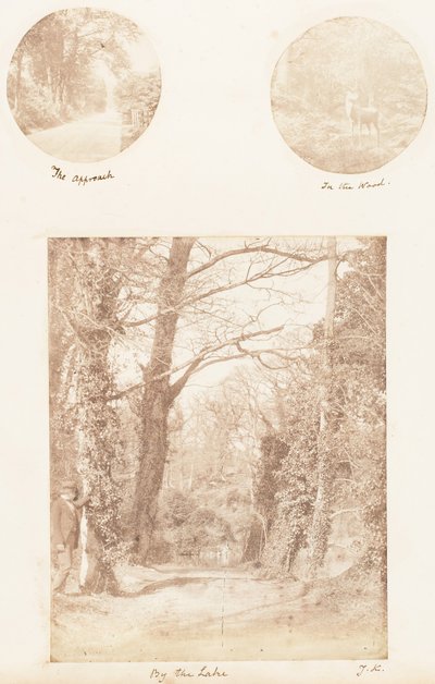 Der Ansatz, Im Wald, Am See, 1853-56 von James Knight