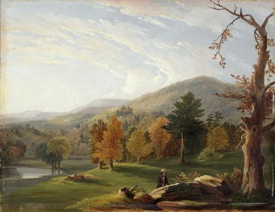 Ansicht unter den Helderbergs, Catskills in der Ferne, 1850 von James McDougal Hart