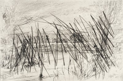 Landschaft mit einem Fischer von James McNeill Whistler