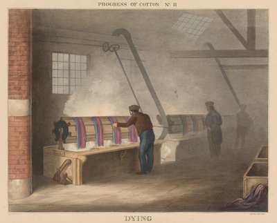Fortschritt der Baumwolle: Nr. 11 - Färben von James Richard Barfoot