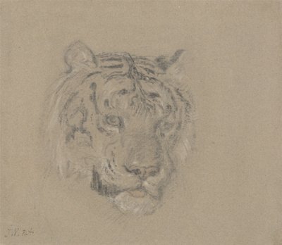 Kopf eines Tigers von James Ward