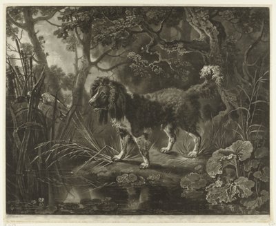 Spaniel am Wasser schaut auf fliegende Ente von James Watson (prentmaker)