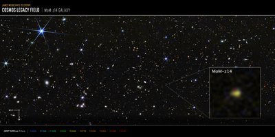 COSMOS-Feld MoM-z14 Galaxie von James Webb Space Telescope (NASA)