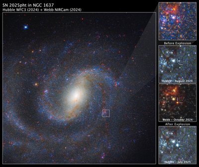 SN 2025pht in NGC 1637 von James Webb Space Telescope (NASA)