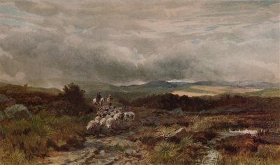 Bergstraße, Capel Curig, Nordwales, 1938 von James William Whitaker