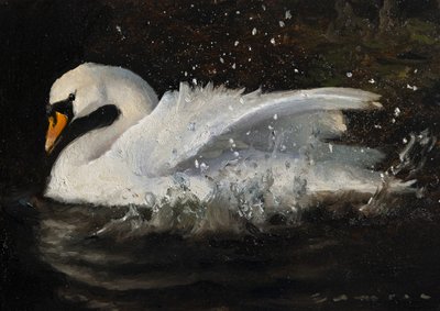 Tanzender Schwan von James Zamora