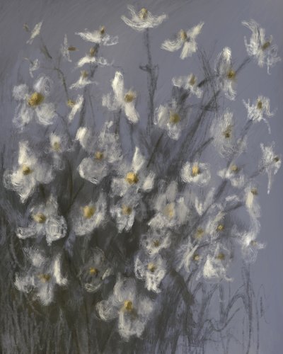 Träumende weiße Blumen von James Zamora
