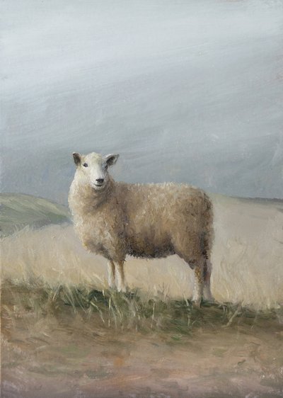 Pastorale Schafe von James Zamora