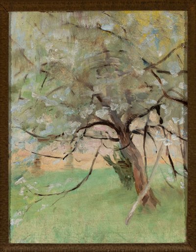 Apfelbaum von Jan Ciągliński