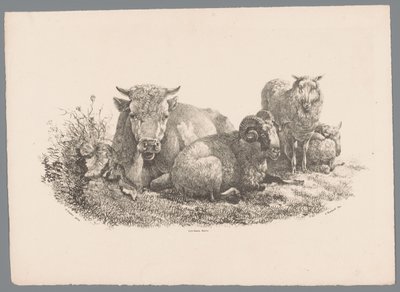 Kuh, Widder und zwei Schafe (Beesten Studien door J. Kobell naar Paul Potter Nr. 1) von Jan Kobell (III)