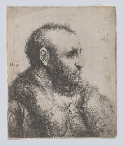 Büste eines alten Mannes mit Pelzkragen von Jan Lievens