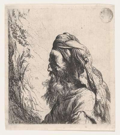 Nach links gewandter Mann mit Turban von Jan Lievens