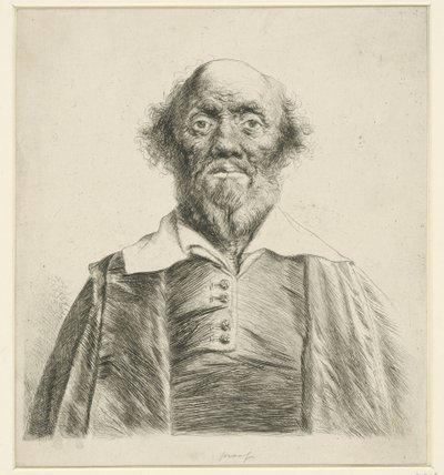 Porträt eines alten Mannes von Jan Lievens