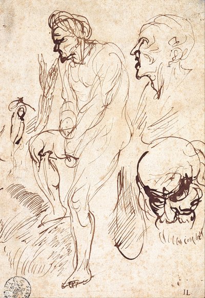 Studien nach dem Modell von Jan Lievens