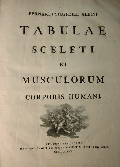 Albinus I, Titelseite, aus 