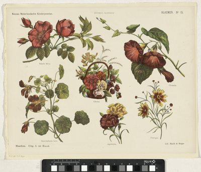 Blumen von Jan de Haan