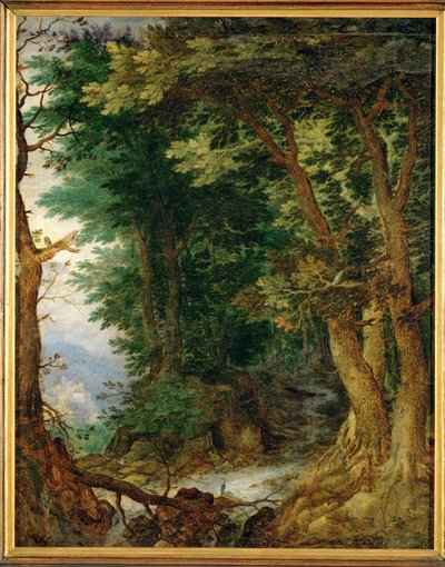 Landschaft mit Wald von Jan the Elder Brueghel