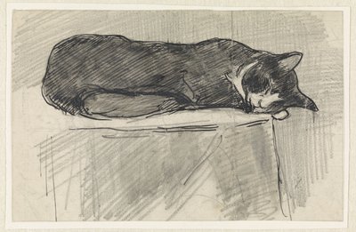 Schlafende Katze von Jan van Essen