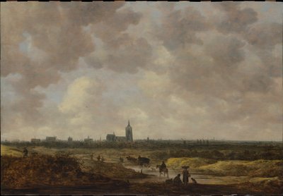 Ansicht von Den Haag aus Nordwesten von Jan van Goyen