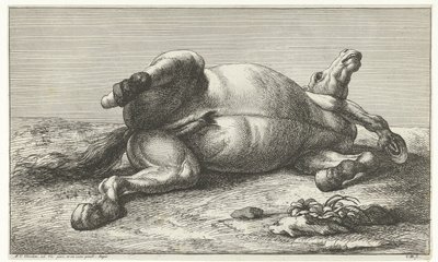 Gefallenes Pferd auf der linken Seite liegend von Jan van Huchtenburg