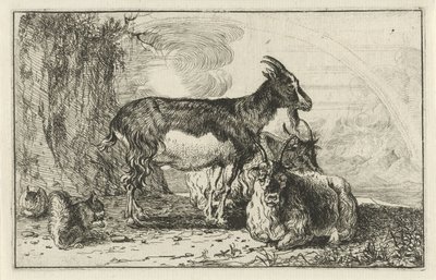 Ziegen (Tiere, Zoographiam) von Jan van den Hecke