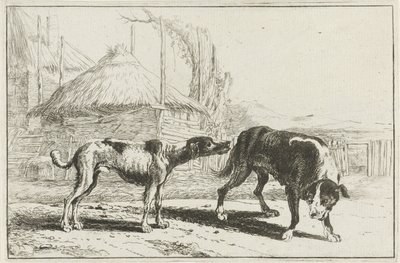 Rüde und Hündin (Dieren, Zoographiam) von Jan van den Hecke