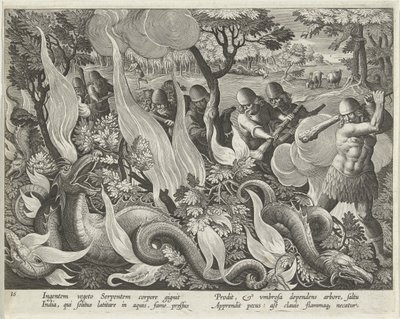 Schlangenfangen in Indien mit Keulen und Fackeln, um das Unterholz zu beleuchten, Tafel 44 aus Venationes Ferarum, Avium, Piscium (Über die Jagd: Wilde Tiere, Vögel, Fische) veröffentlicht 1640 von Jan van der 1523 1605 Straet