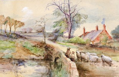 Eine Landstraße von Jane Elizabeth Spindler