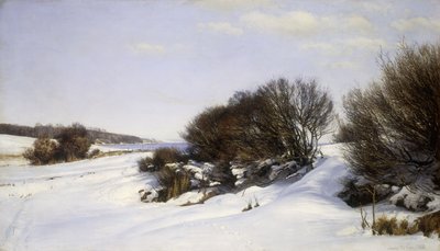 Winter am Meer, 1888 von Janus La Cour