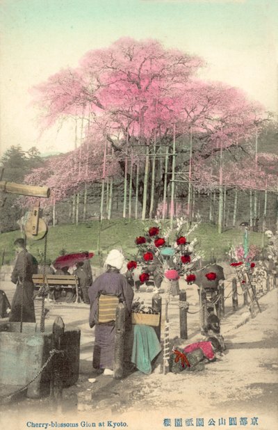 Kirschblüten, Gion, Kyoto, Japan von Japanese Photographer