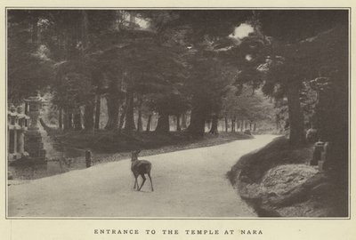 Eingang zum Tempel in Nara von Japanese Photographer