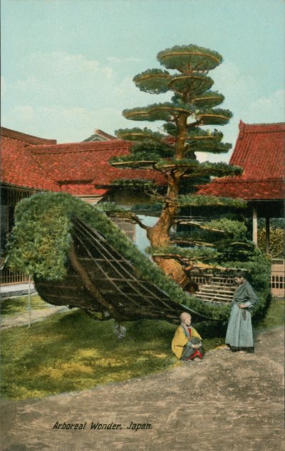 Ornamentaler Baum in Form eines Bootes in Japan von Japanese Photographer