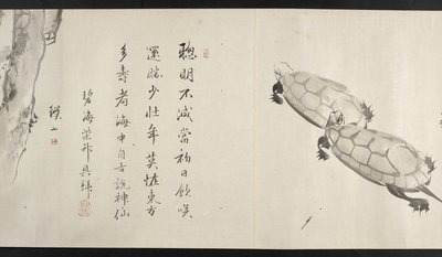 Zwei Schildkröten, aus Yoshida Seisai von Japanese School