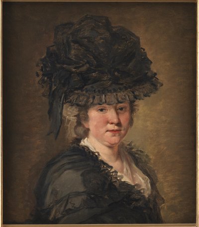 Porträt einer Dame von Jean-Honore Fragonard