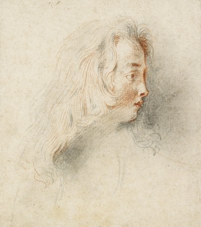 Kopf eines Jungen im Profil von Jean Antoine Watteau