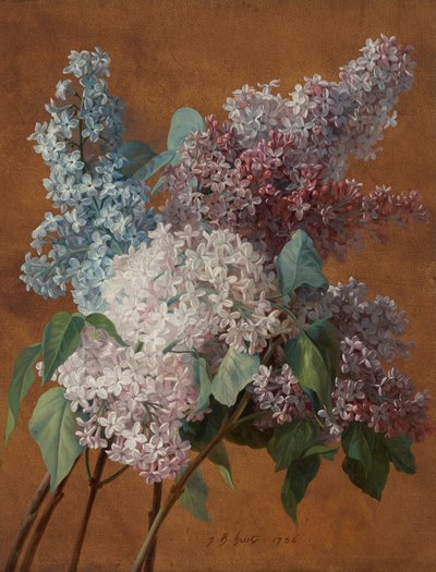 Eine Studie von Flieder von Jean-Baptiste Huet