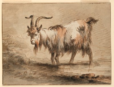 Zeichnung, Studie einer Ziege von Jean-Baptiste Huet