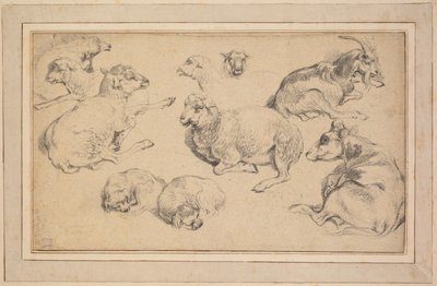 Blatt mit Studien von Schafen, Ziegen und Hunden von Jean Baptiste Marie Huet
