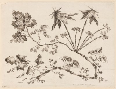 Blumenzweige, aus "Recueil de Differentes Fleurs de Fantaisie Dans le Goût Chinois" von Jean Baptiste Pillement
