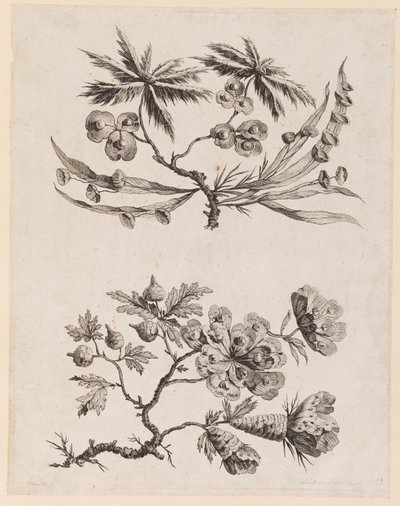 Blumenzweige aus "Recueil de Fleurs Chinois" von Jean Baptiste Pillement