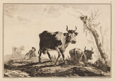 Tafel 5, "Cahier de Six Feuilles de Boeufs et Vaches" von Jean Baptiste Pillement