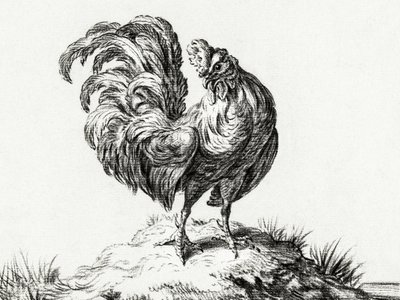 Huhn auf einem Hügel stehend von Jean Bernard