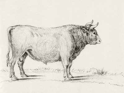 Stehender Stier von Jean Bernard