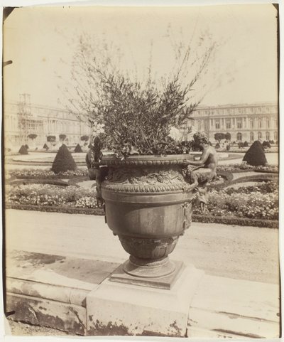 Versailles, Vase von Ballin von Jean Eugène Auguste Atget
