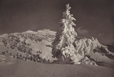Rigi Kaltbad, Skigebiet bis Rigi Kulm von Jean Gaberell