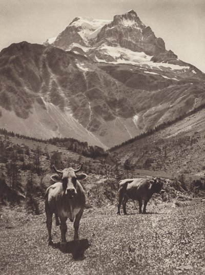 Schweiz: Der Tödi von Jean Gaberell