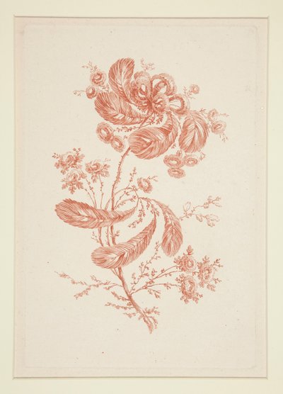 Ohne Titel (Ideale Blumen), aus einem Satz von sechs von Jeanne Deny