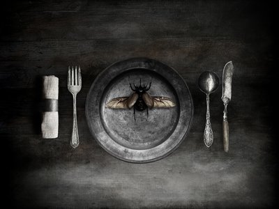 Unheimliches Käfermahl von Jeffrey Hummel