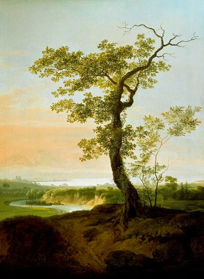 Blick auf den Genfersee bei Veyrier von Jens Juel