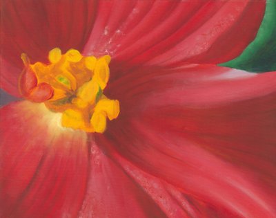 Lebendige rote Blüte von Jillian Claire